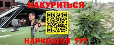 крисы Ирбит
