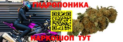 дмт Ипатово