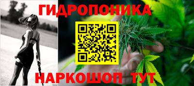 индика Изобильный