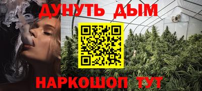 крисы Ирбит