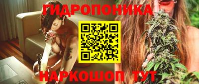 крисы Ирбит