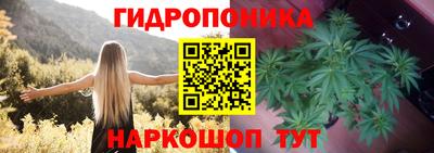 индика Изобильный